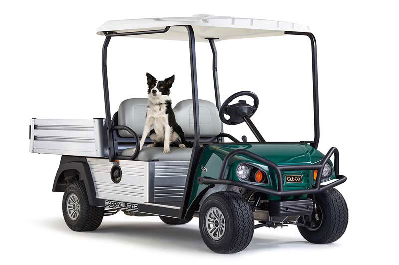 Golf course utility vehicle 502 full length with dog