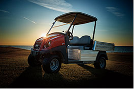 Campo de golf vehículo utilitario llamada carryall 500 turf