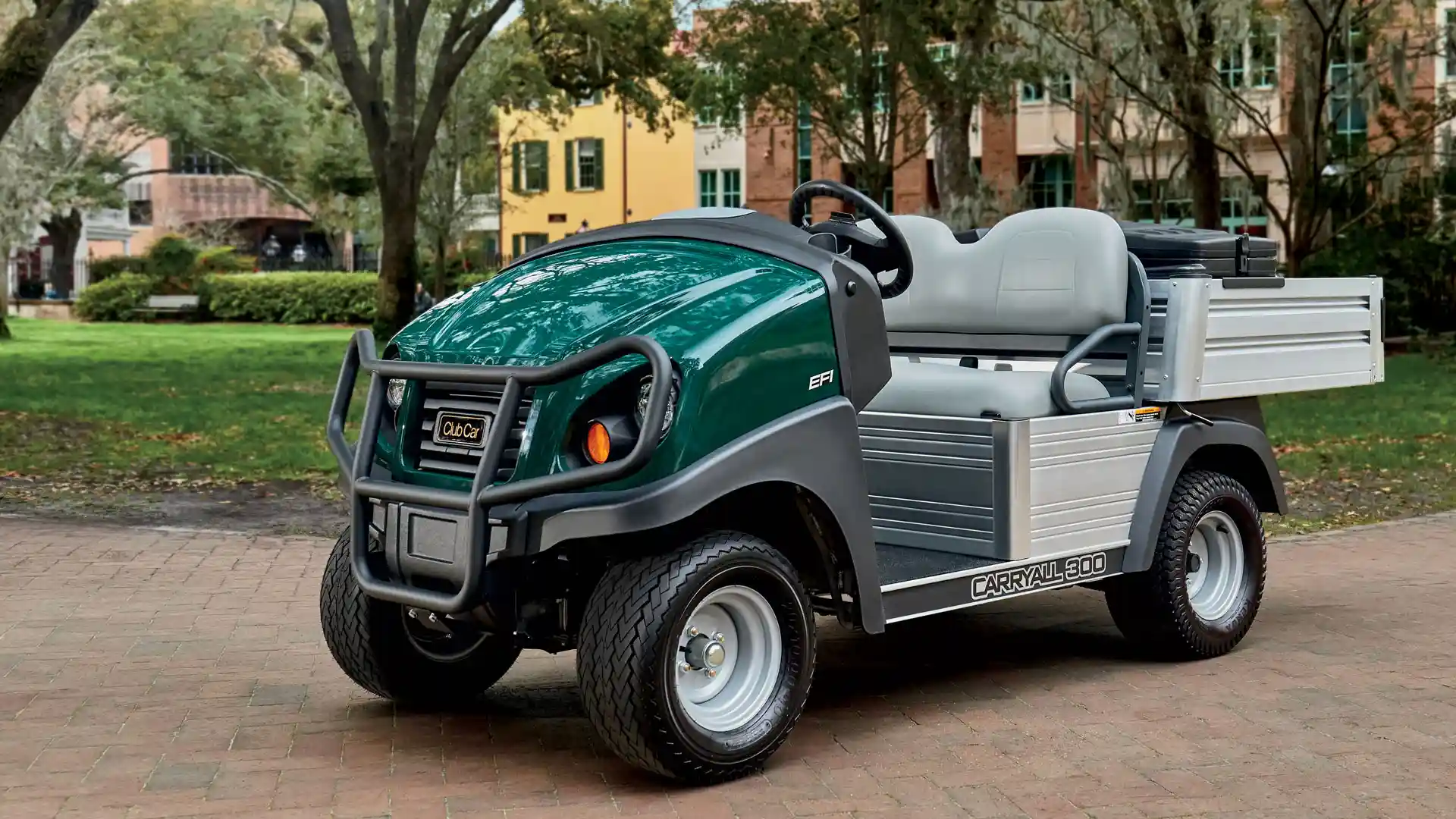 Gas or electric utility golf cart 
