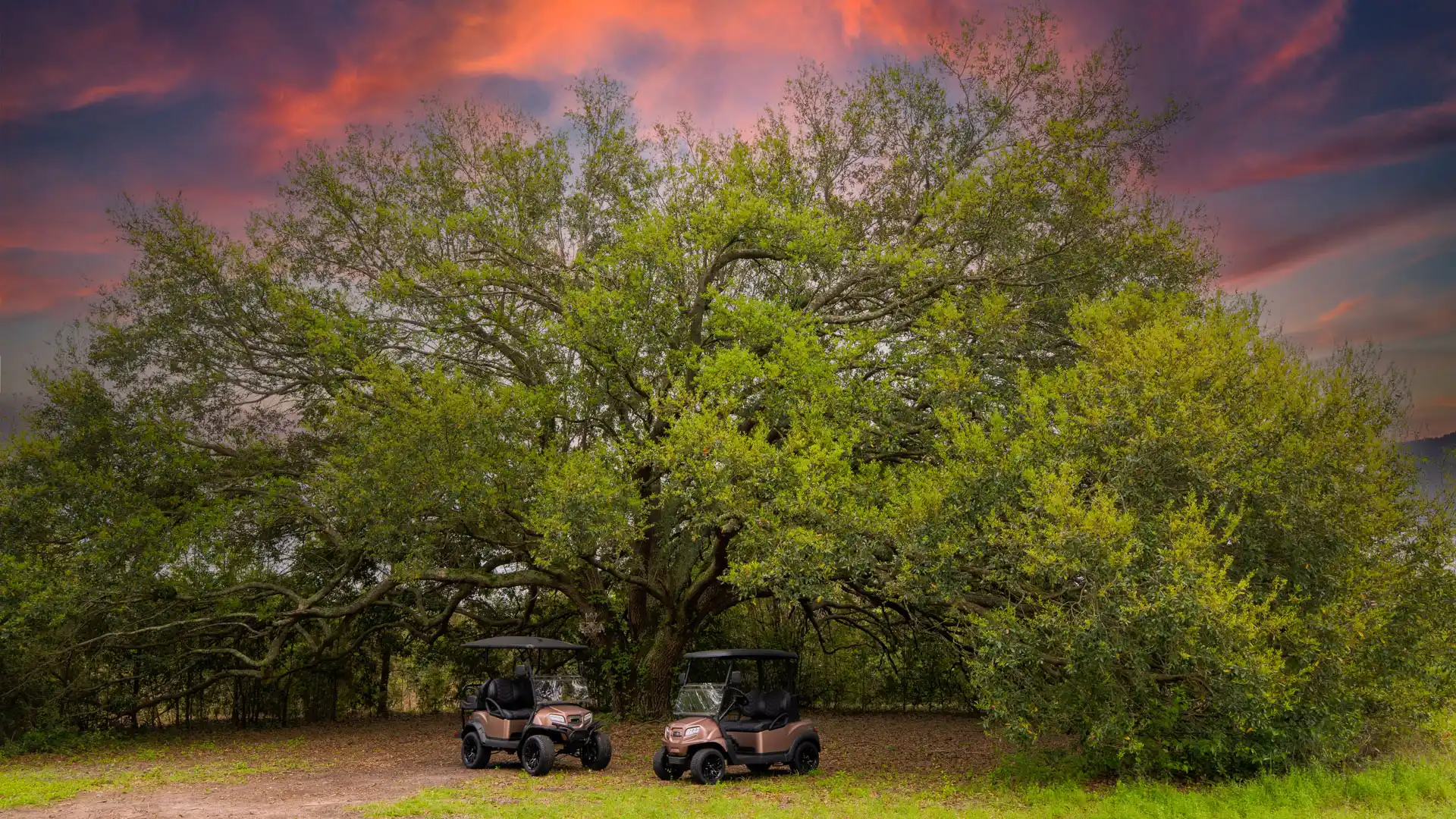 Sunrise Special Edition Golf Cart scenic view