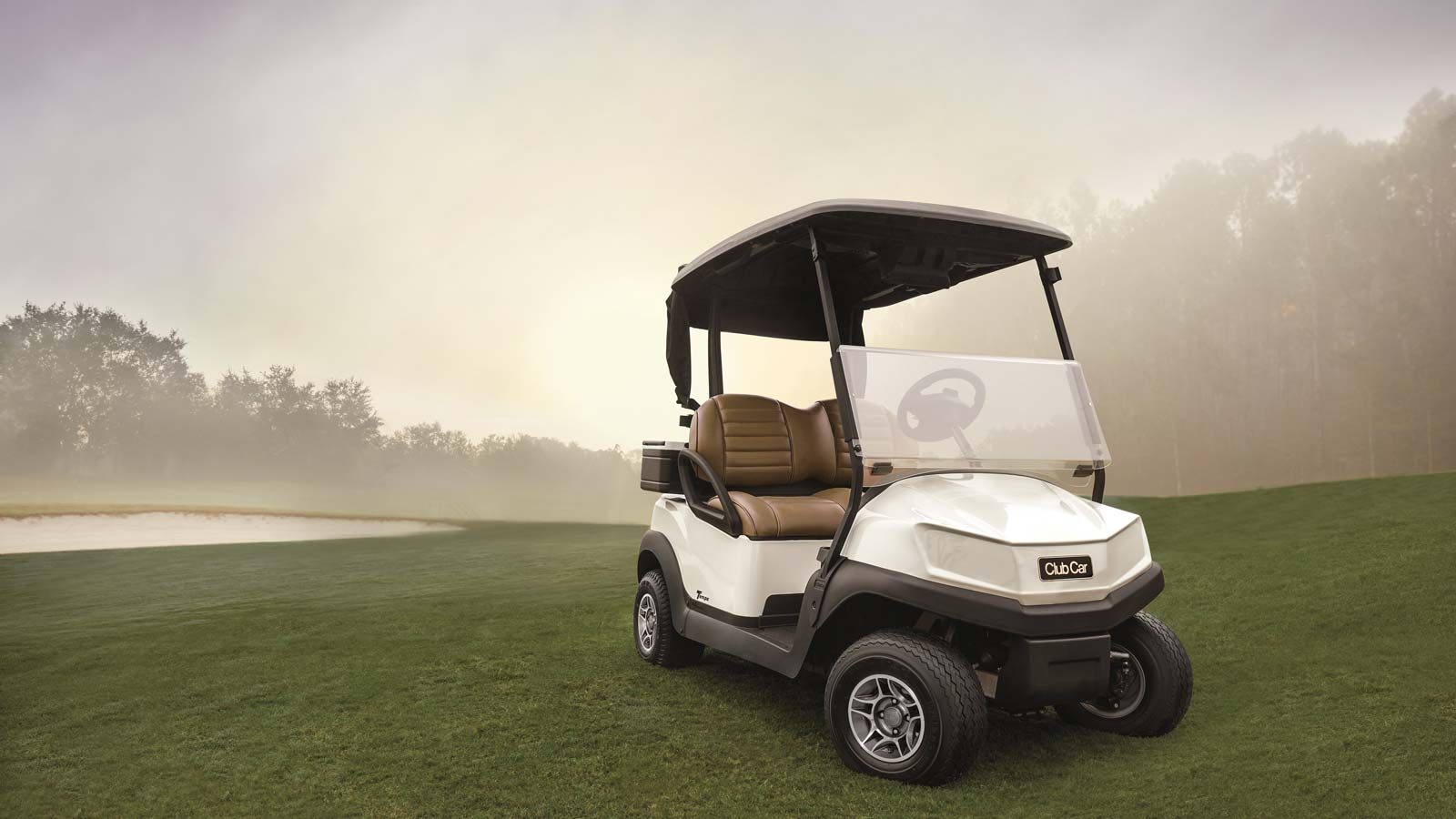 Tempo 2 passenger golf cart