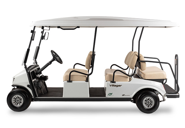 2008 Club Car DS Electric Golf Cart, Stock Green